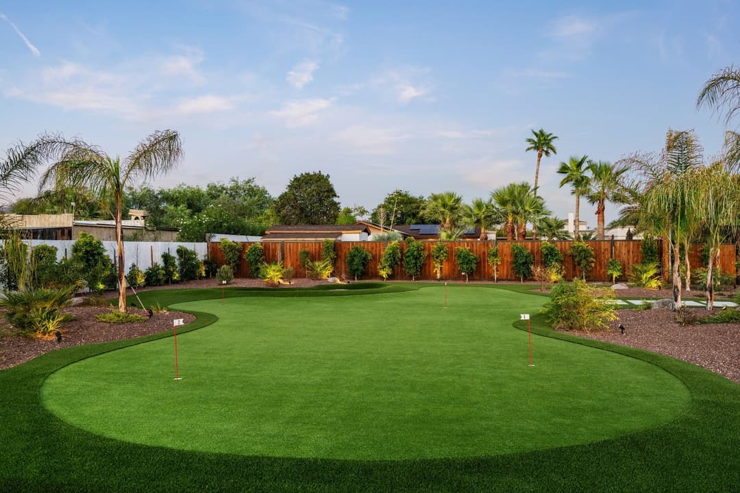 Lush green backyard landscape with palm trees and manicured lawn under a clear blue sky.
