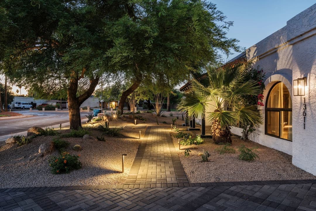 Desert landscaping with palm trees and outdoor lighting near a modern home entrance.