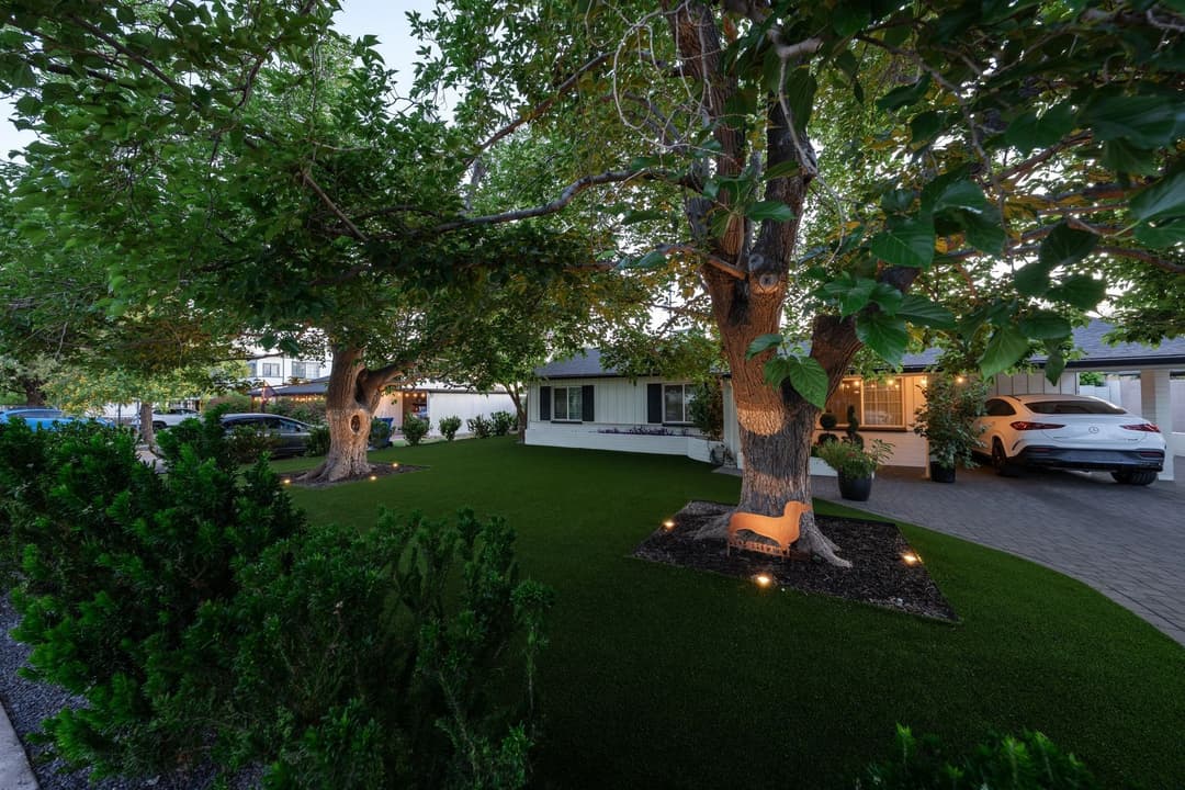 Lush front yard with two large trees, modern home, and landscaped lawn with ambient lighting.