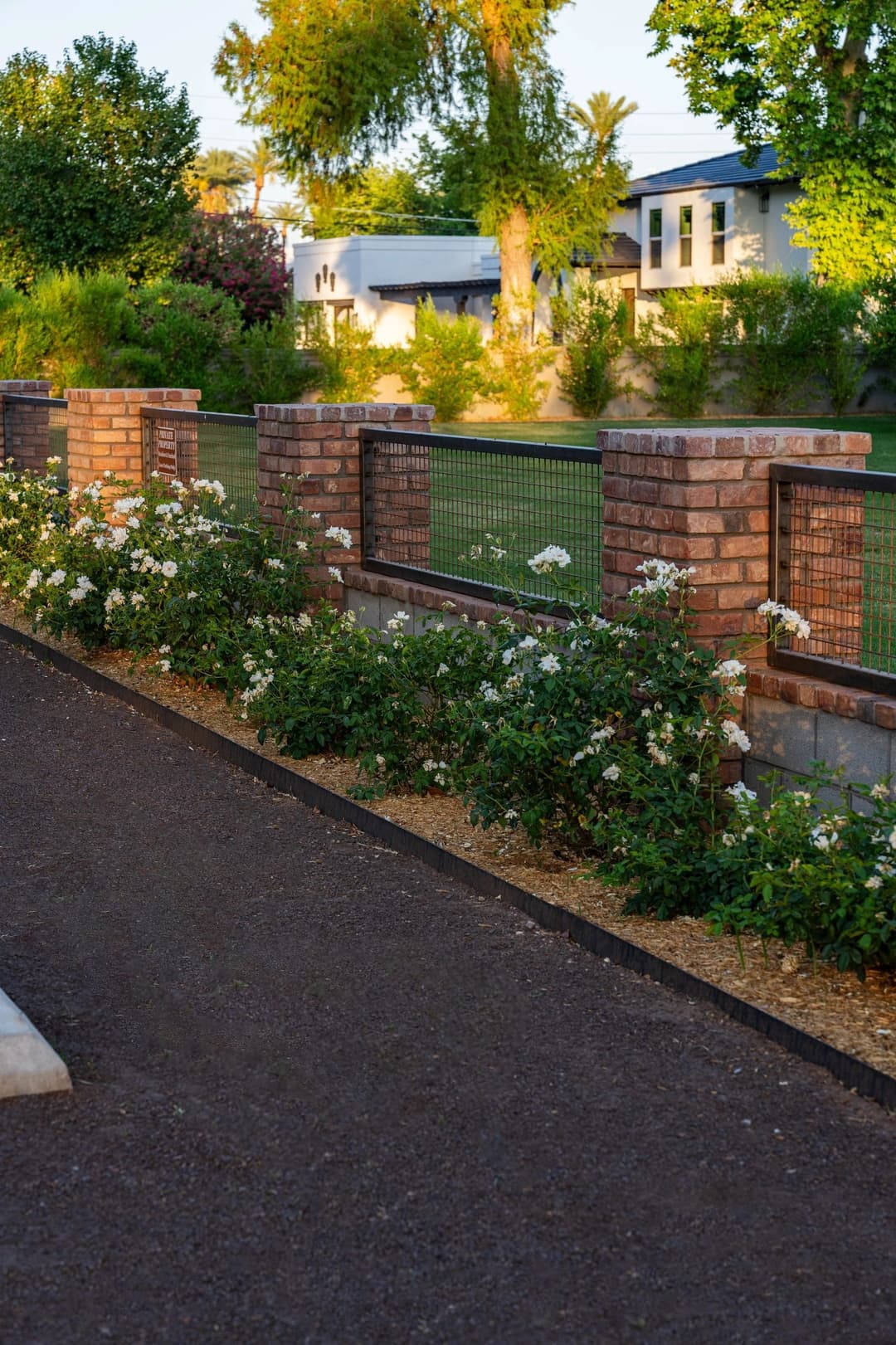 Lush garden with rose bushes beside a brick fence and vibrant green trees in the background.
